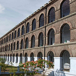 andaman-with-havelock