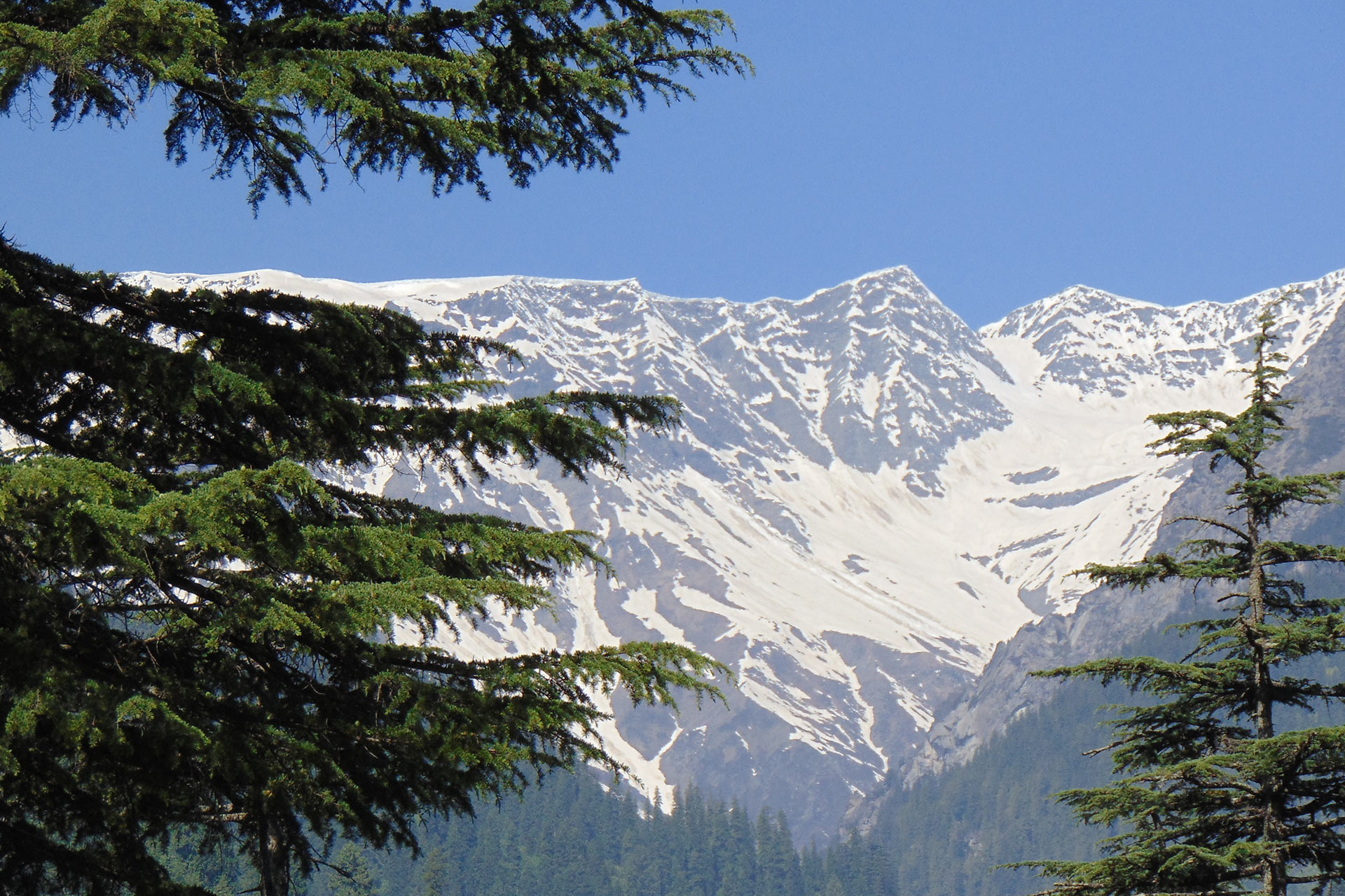 manali